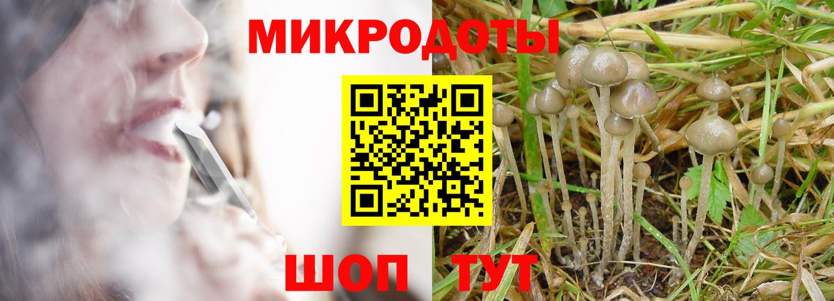 Псилоцибиновые грибы мицелий  Вход с VPN  Дербент 
